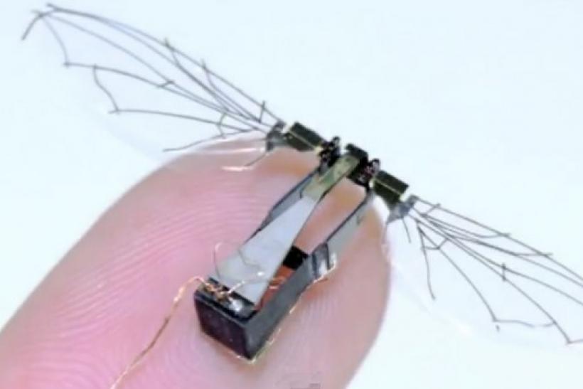 background Mouthwash Dissatisfied The Future of Micro Drones with Mosquito Flight Patterns - PRV Engineering  Blog